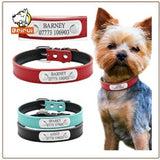 Durable Personalized Dog Collar PU Leather Padded ID Small Medium Large Dogs