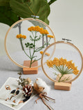 DIY Flowers Plants Pattern Embroidery Set Beginner Embroidery Round Craft Kit